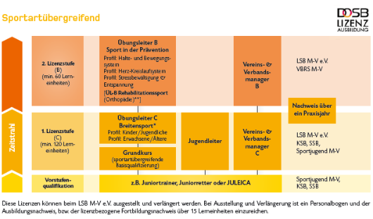 Sportartübergreifend