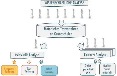 Bcheck_Strukturgesamt_Infobox