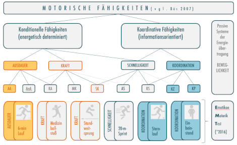 Bcheck_koordFäh-Schema-Infobox